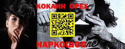 сатива Новокубанск