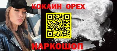сатива Новокубанск