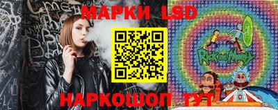сатива Новокубанск