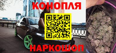сатива Новокубанск