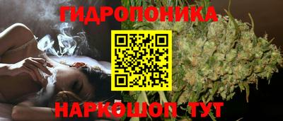 сатива Новодвинск