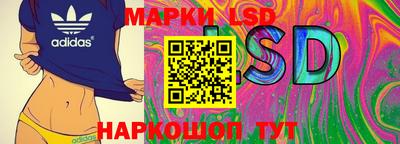 сатива Новодвинск