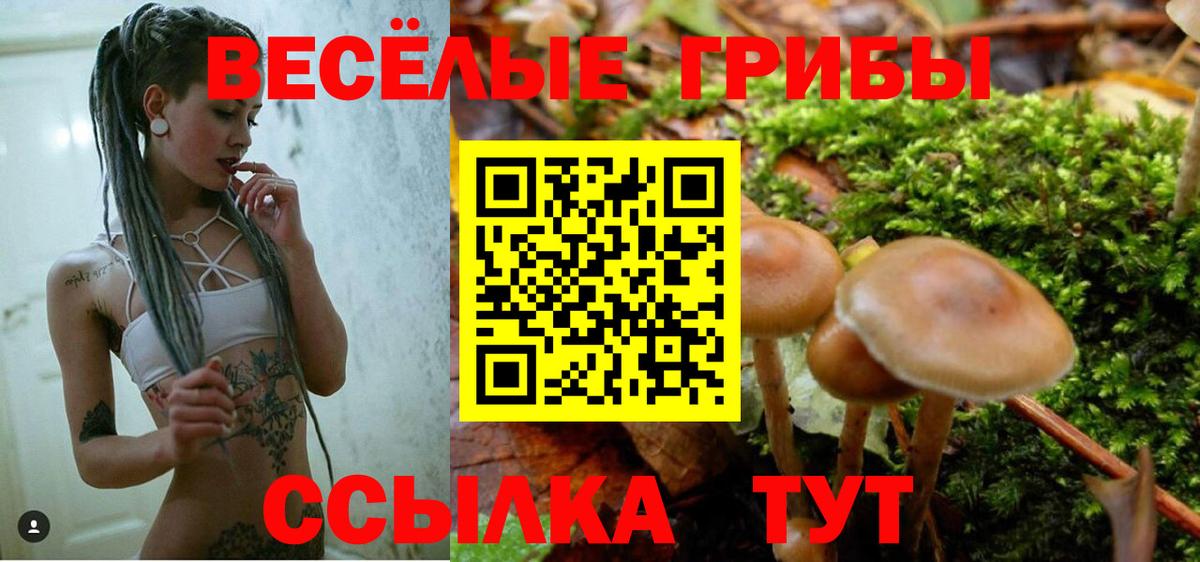 цены наркотик  Галлюциногенные грибы Magic Shrooms  Вход с VPN  Славянск-на-Кубани  Псилоцибиновые грибы прущие грибы 